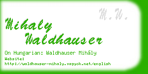 mihaly waldhauser business card